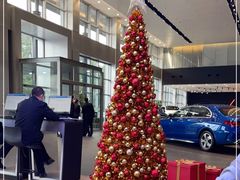 -奔驰上海利星(七宝店)