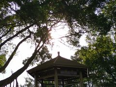 -东莞植物园