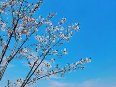 -昆山城市公园
