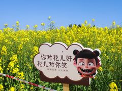 -三圣花乡旅游区