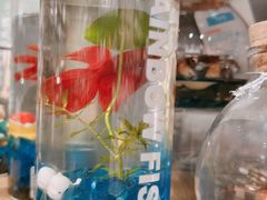 -酷乐潮玩(颛桥万达店)