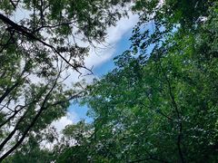 -碓臼峪自然风景区