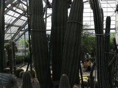 -南山植物园