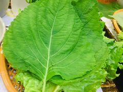 苏子叶-高基五春川炒鸡排 韩国料理(威海总店)