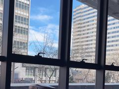 -首都图书馆-咖啡厅