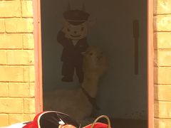 -瓷天下海丝谷