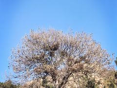 -太和山风景区