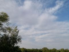 -大兴滨河森林公园