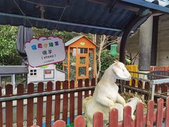 -上海崇明金茂凯悦酒店