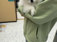 -瑞派康怡24h宠物医院·犬猫医疗中心·微创绝育(瑞景分院)
