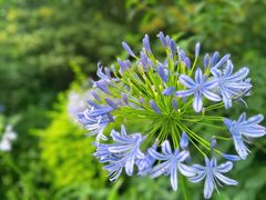 -上海滨江森林公园