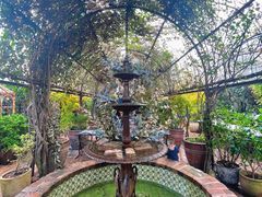 -The Grounds of Alexandria