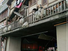 -哥老官重庆美蛙鱼头(西湖银泰十一哥店)