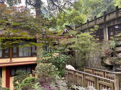 -都江堰普照寺