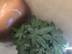 -宏玲餐厅(四川南路店)