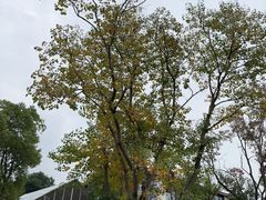 -三圣花乡旅游区