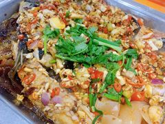 -黑猫馋纸包鱼(阳光店)