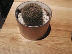 -喜茶(深圳东门1234店)