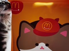 -麦当劳(祈年大街店)