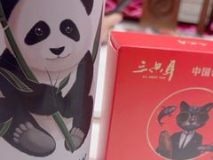 -三只耳火锅(宽窄巷子店)