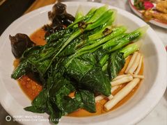 -新白鹿餐厅(第一百货店)