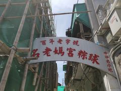 -老妈宫粽球