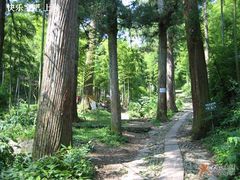 -东天目山风景区