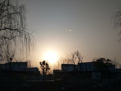 -桃花岛景观公园