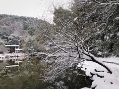 -团城山公园