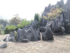 -千岛湖石林