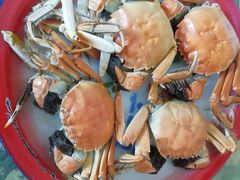 -六顺园清真回族饭店(工程街店)