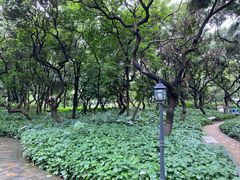 -黄埔荔枝公园