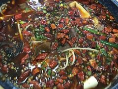 -重庆火锅水库鱼庄(南油店)