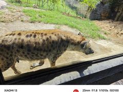 -杭州野生动物世界