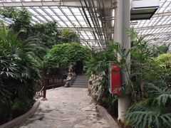 iphone_upload_pic-龙达温泉生态城