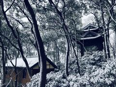 -上海佘山国家森林公园西佘山园