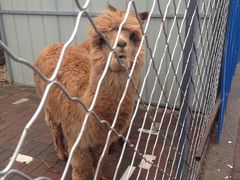 -长白岛森林公园