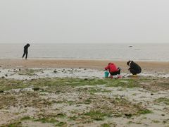 -东戴河风景区-止锚湾