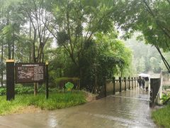 -重庆彩云湖湿地公园
