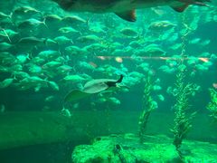 -香港海洋公园