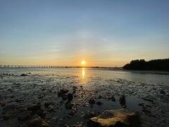 -宝安西湾红树林湿地公园