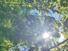 -贵阳市花溪国家城市湿地公园