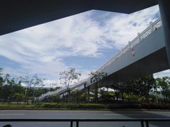 -宝安西湾红树林湿地公园