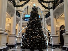 -羿庭 Peacock Alley(上海外滩华尔道夫酒店)
