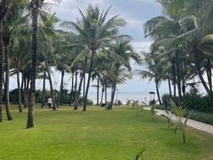 -味餐厅·海鲜·火锅·自助餐