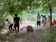 -白水寺森林公园