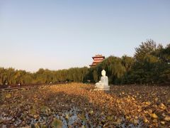 -毛遂公园