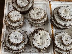 -云南木水花野生菌交易中心