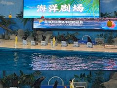 -泉城欧乐堡海洋极地世界