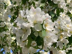 -远洋未来广场(育慧北路店)